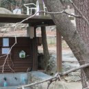 선강(하) 이미지