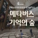 포레스트 펫 이미지