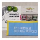 정선군문화예술회관 이미지