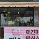 금촌애견 이미지