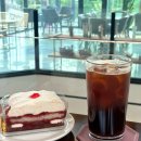 화순제일중학교 | 화순 카페 | 카페소담 : 모임하기 좋은 대형 카페, 조용히 이야기하기 좋은 카페