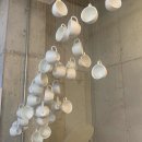 호프 포차 황금돼지 이미지