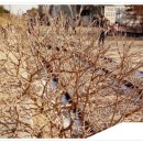 임진각 관광안내소 이미지