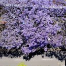 쓰촨거리 이미지