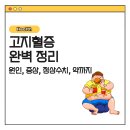 고지혈증의 이해와 관리 | 고지혈증 완벽 정리｜원인·증상·정상수치·약까지 한눈에 확인하기