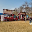 하늘켄넬 | 한국꼬똥켄넬 종친회 현장 25년11월 화창한 어느 주말