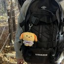 천만농장 | 가을 등산 후기 | 광교산: 각오해라