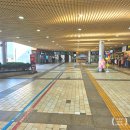 삼호카서비스 | 충북 단양제천 여행 2박 3일 (1) - 케이블카, 삼호수산 송어회