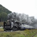 "메기의 추억! " [죠지 존슨의 슬픈 사랑이야기] 이미지