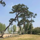 강경산양초등학교 이미지