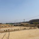 삼진 태양광발전소 이미지