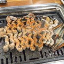 볼락 밤낚시 체험 이미지