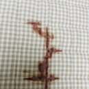 명지 수동물병원 이미지