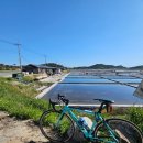 하의 김대중 전대통령생가 | [자전거여행]전남 신안군 하의도, 신의도