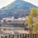 서구-01-160 이미지