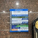 안석빌딩 | 이수역 재활운동 추천 l 캐치필라테스 1:3 체형교정 후기