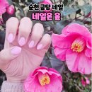 순천 금당 네일샵 네일은윤 핑크네일 후기