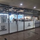 러브 애견 | [경남/창원시] 러브앤독 애견카페💛 /창원·진해 힐링 스폿러브앤독 애견카페 체험 후기 🐶🌿