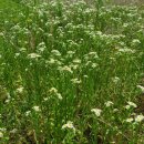 작은바람언덕 이미지