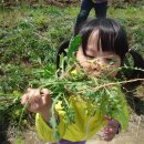 임영택농장 이미지