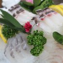 터미널수산 이미지