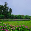 동광리-13 이미지