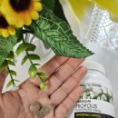 헬스유통 | 믿고먹는 나웰 헬스오션 프로폴리스 두번째 먹는 후기