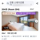 스테이강릉 | [강릉] 펜션 스테이강릉 후기｜4인숙소 연박 내돈내산