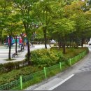 사랑마을부동산공인중개사사무소 이미지