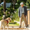 청기와목욕탕 이미지