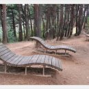 모노골샘터 이미지