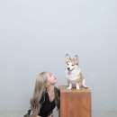 아라헤어 이미지