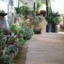 에버그린농장 이미지