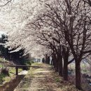 아름다운 숲길 화장실 이미지