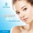 에스지아름다운 네이버블로그