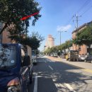 신정중앙로 이미지