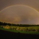 무지개슈퍼 이미지