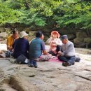 도림사계곡 이미지