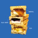 동갈매기 이미지