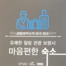 보령종합카정비 | 보령해수욕장 숙소 메리머드호텔 오션뷰 스위트룸 이용 후기 장단점 정리