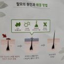 주식회사 멋진인생 네이버블로그
