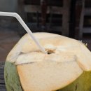 왕궁방앗간 | 우붓 필수 코스 '투키즈 코코넛샵' 🥥 인생 코코넛 아이스크림 &amp; 홀 코코넛 솔직 후기 (메뉴/가격)