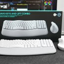 웨이브피씨방(WAVE PC) | 로지텍 Wave Keys And Lift Combo 인체공학 키보드 마우스 세트