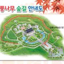 천안 태조산,,흑성산,,독립기념관 단풍산행(16.11.05) 이미지