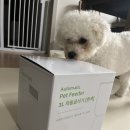 파우시 강아지 고양이 자동급식기 3L