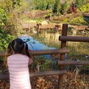 창원 목재문화체험장 이미지