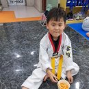 솔빛태권스쿨 이미지