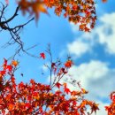 서천군농업기술센터 | 서천군 귀농·귀촌 정착 지원 사업