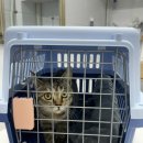 닥터강동물병원 이미지