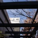 곤지한정식 이미지